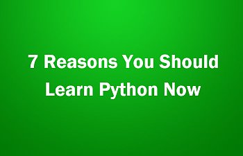 python.jpg